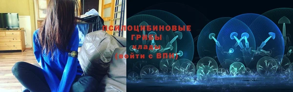 крисы Арсеньев