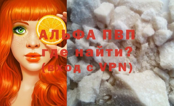 СК Аркадак