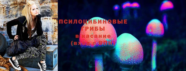 сатива Майский