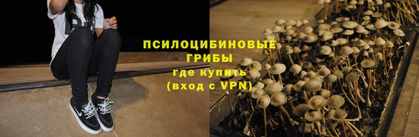 спайс Магас